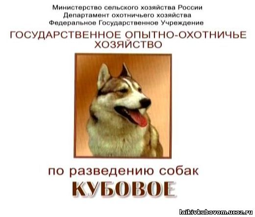 http://laikivkubovom.ucoz.ru/Glavnaja520.jpg